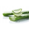 Naturalny żel łagodzący z aloesem ORGANICZNY 300ml bez alkoholu Aloe Vera