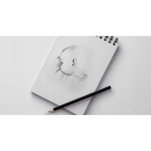Zestaw dziesięciu ołówków w metalowym etui Gradacja 5B - 2H 10szt Pencil