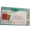 PAPIER kolorowy do druku Coloured A4 250 arkuszy 80 g/m² CRAFT&DESIGN