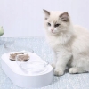 Miska dla kota na karmę i wodę ANTYPOŚLIZGOWA PETS DREAMTEAM 400 ml