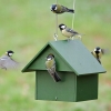 BUDKA LĘGOWA PTAKÓW SIKOREK JERZYK SZPAK HOTEL DOMEK EKO 068