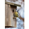 BUDKA LĘGOWA PTAKÓW SIKOREK JERZYK SZPAK HOTEL DOMEK EKO 068