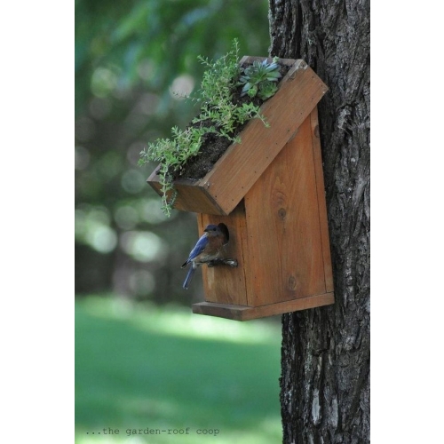 BUDKA LĘGOWA PTAKÓW SIKOREK JERZYK SZPAK HOTEL DOMEK EKO 068