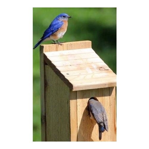 BUDKA LĘGOWA HOTEL DOMEK DLA PTAKÓW BIAŁA 22,5 95