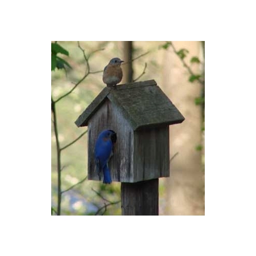 BUDKA LĘGOWA HOTEL DOMEK DLA PTAKÓW BIAŁA 22,5 95