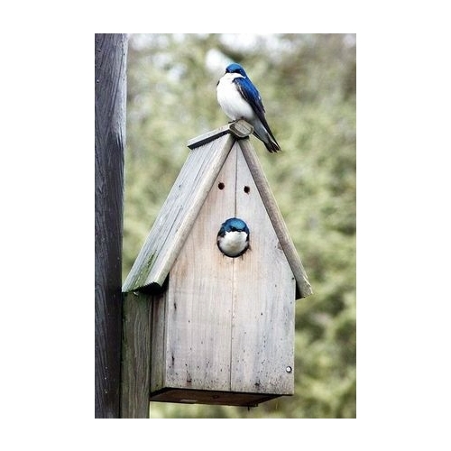 BUDKA LĘGOWA HOTEL DOMEK DLA PTAKÓW BIAŁA 22,5 95