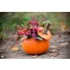 DYNIE 10 X LED GIRLANDA SUPER JESIEŃ HALLOWEN 30cm na baterie dekoracja 80