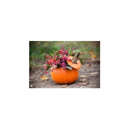 DYNIE 10 X LED GIRLANDA SUPER JESIEŃ HALLOWEN 30cm na baterie dekoracja 80