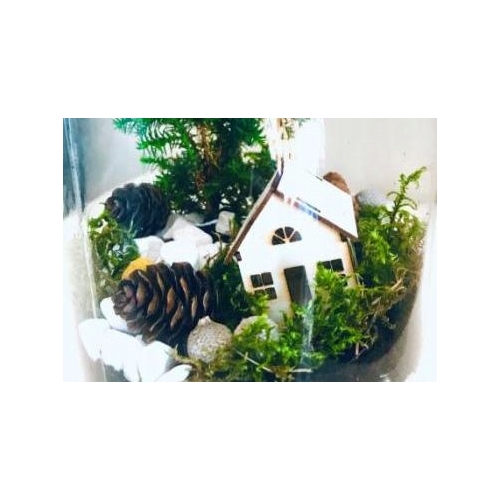 MECH NATURALNY SUPER DEKORACJA CHROBOTEK ZIELONY + SREBRNY DECO MOSS