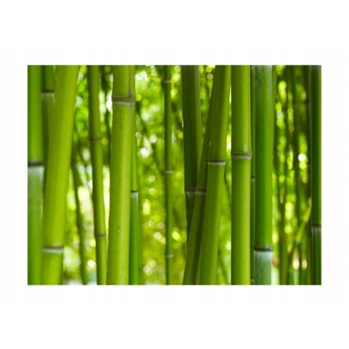 Mydelniczka drewniana bambusowa BAMBOO SOAP BOX