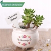 4 x ETYKIETY do roślin kwiatów TABLICZKA znaczniki DŁ.15 CM 60 SZT KINZO