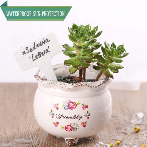 4 x ETYKIETY do roślin kwiatów TABLICZKA znaczniki DŁ.15 CM 60 SZT KINZO
