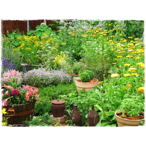 DYFUZOR ZAPACHOWY Z PATYCZKAMI 200 ML HERB GARDEN