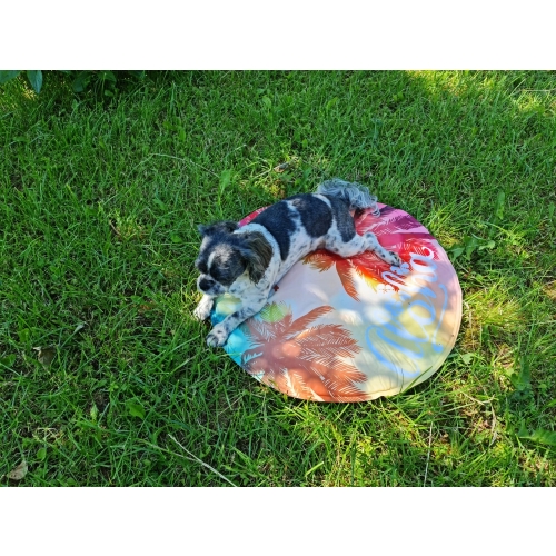 MATA CHŁODZĄCA DLA PSA KOTA 60 cm OKRĄGŁA PAPUGA