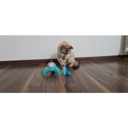 Zabawka dla kotów kota z piórkiem mięta CAT TOY