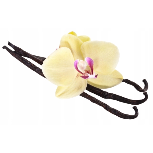 Świeca zapachowa sojowa SOFT VANILLA TreeWick 83