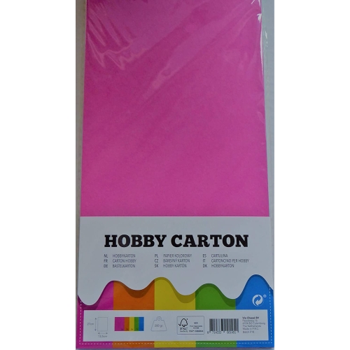 PAPIER kolorowy 40 szt hobby carton 27x13,5 kolory