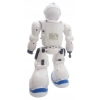 Zdalnie sterowany ROBOT Interaktywny z pilotem 18
