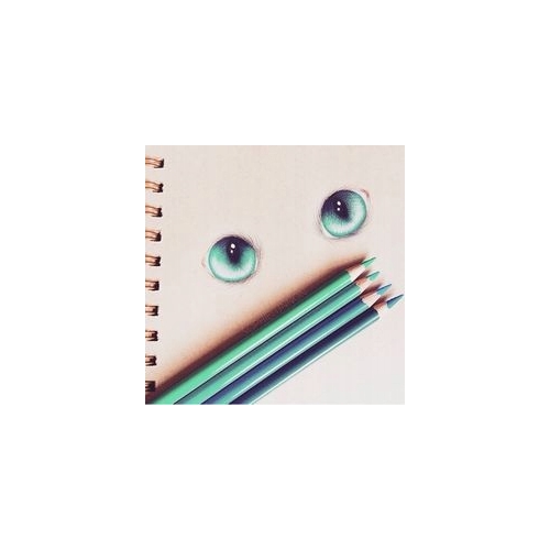 KREDKI OŁÓWKOWE DREWNIANE W ETUI ZESTAW MIX 46 KOLORÓW Craft Sensations 176