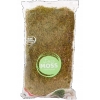 Mech dekoracyjny ozdobny Home Accentes DECORATIONS 80 g NATURALNY 743
