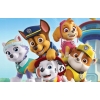 PSI PATROL SUPER KRĘGLE DLA DZIECI + KULA 6 KRĘGLI NICKELODEON FIOLETOWE 21