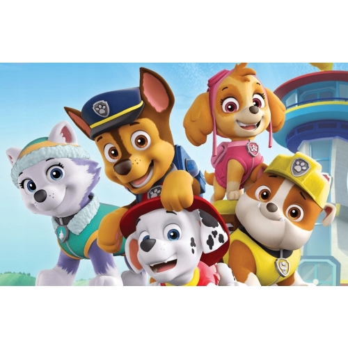 PSI PATROL SUPER KRĘGLE DLA DZIECI + KULA 6 KRĘGLI NICKELODEON FIOLETOWE 21