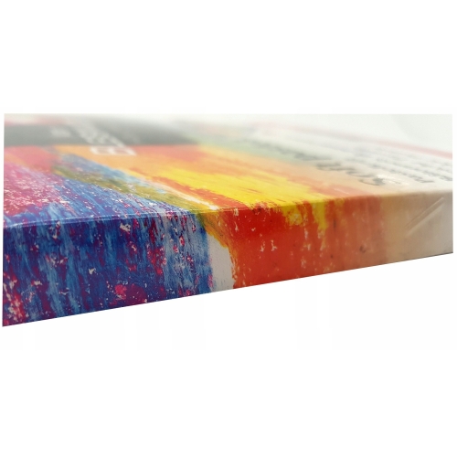 Kredki pastelowe Van Bleiswijck 24 szt miękkie pastele multikolor organizer