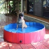 Basen rozporowy okrągły dla psa kota DOG POOL 80 x 30 cm Mocny Czerwony