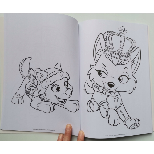 Kolorowanka malowanka Psi Patrol PAW PATROL NICKELODEON 128 str Naklejki C