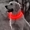 Obroża świecąca LED dla psa kota uniwersalny rozmiar ładowalna 71cm RED