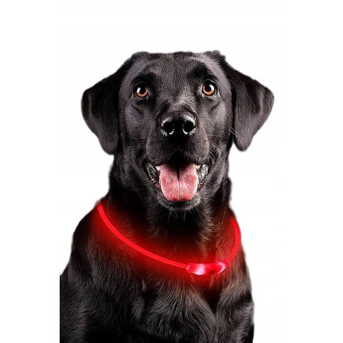 Obroża świecąca LED dla psa kota uniwersalny rozmiar ładowalna 71cm RED