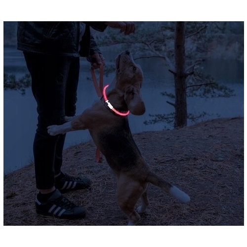 Obroża świecąca LED dla psa kota uniwersalny rozmiar ładowalna 71cm RED