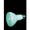 Żarówka LED E 27 7 WAT 630 LUMIENÓW CIEPŁA BIAŁA!