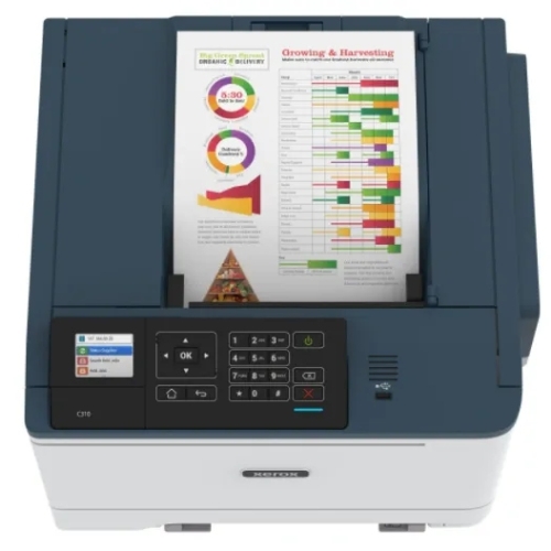 Drukarka jednofunkcyjna laserowa KOLOROWA Xerox WIFI 1GB C310V/DNI C310V