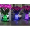 OŚWIETLENIE BASENU LAMPKI DO AKWARIUM 2 SZT WODOODPORNE IPX8 LED PILOT RGB