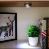 Lampka LAMPKI LED push meblowe dotykowe do szafy B Zestaw 3 szt BIAŁE ZIMNE