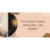 Żarówka LED z czujnikiem zmierzchu i ruchu gwint E27 40W barwa biały zimny