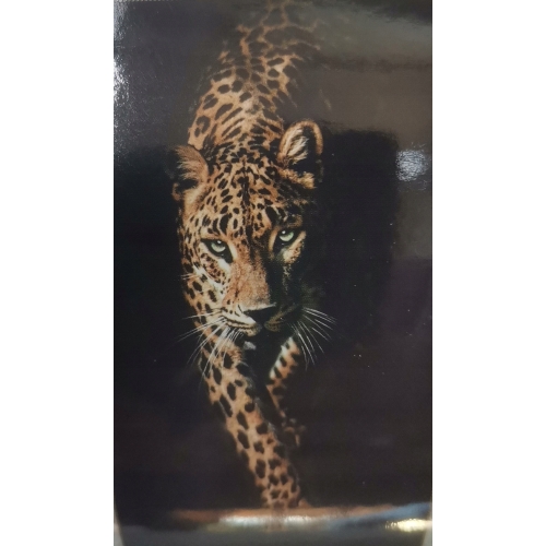Ręcznik plażowy SZYBKOSCHNĄCY MIKROFIBRA 100x180cm lekki kompaktowy z kotem