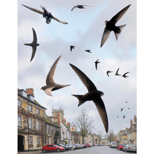 BUDKA LĘGOWA HOTEL DOMEK DLA PTAKÓW JERZYK SZPAK DREWNIANA ORYGINALNA 5