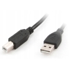 Kabel Gembird CC-USB2.0 AM BM-6 USB A - USB - B 1,8 m CABLEEXPERT czarny