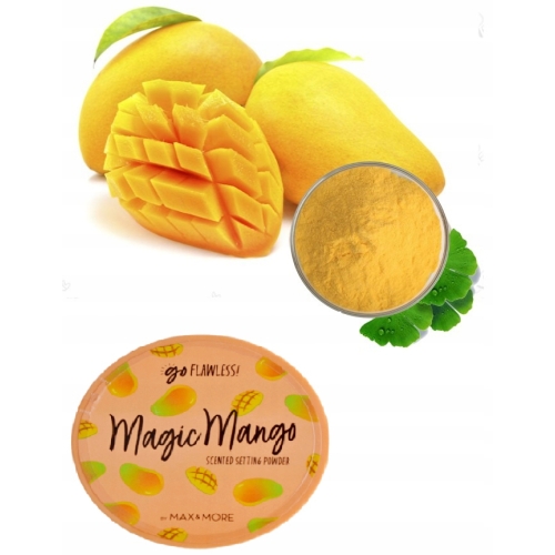 Puder scalający Sypki Matowy Transparentny Max & More PASSIONATELY 22 gram
