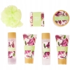 Zestaw podarunkowy Sandalwood Rose Magnolia kosmetyki S P A Mydło Myjka żel