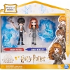 Harry Potter Wizarding World Hermiona Hagrid Fang