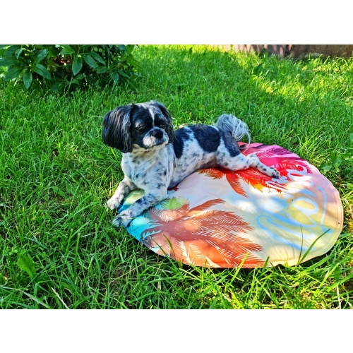 MATA CHŁODZĄCA DLA PSA KOTA 60 cm OKRĄGŁA PAPUGA