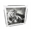 Nowoczesny i designerski Obraz Czarno Biały 50 x 50 cm Czarna Rama ZEBRA