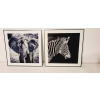 Nowoczesny i designerski Obraz Czarno Biały 50 x 50 cm Czarna Rama ZEBRA