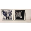 Nowoczesny i designerski Obraz Czarno Biały 50 x 50 cm Czarna Rama ZEBRA