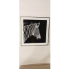 Nowoczesny i designerski Obraz Czarno Biały 50 x 50 cm Czarna Rama ZEBRA