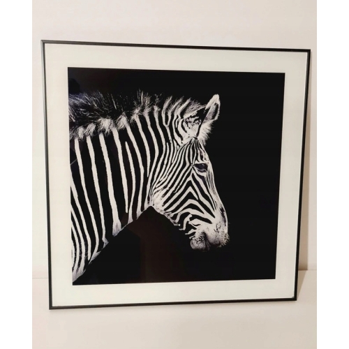 Nowoczesny i designerski Obraz Czarno Biały 50 x 50 cm Czarna Rama ZEBRA