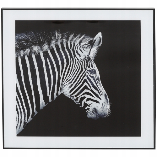 Nowoczesny i designerski Obraz Czarno Biały 50 x 50 cm Czarna Rama ZEBRA